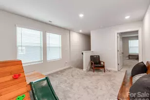 438 Nixon Rd, Belmont, NC 28012 - Photo 28