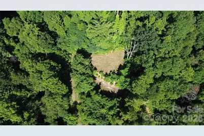 99999 Morgan Hill Road, Black Mountain, NC 28711 - Photo 8