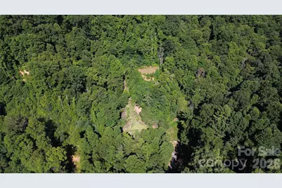 99999 Morgan Hill Road, Black Mountain, NC 28711 - Photo 6