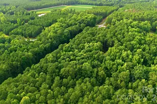 1083 Murdocksville Rd, West End, NC 27376 - Photo 44
