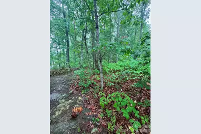 0 Lhasa Apso Lane, Iron Station, NC 28080 - Photo 4