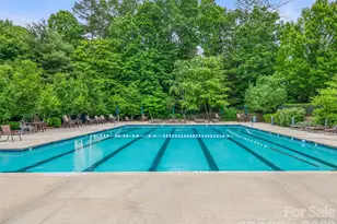 1606 Olmsted Dr, Asheville, NC 28803 - Photo 44