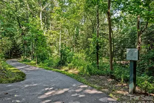 1606 Olmsted Dr, Asheville, NC 28803 - Photo 48