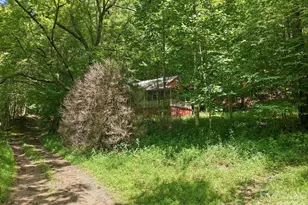 1158 Dark Ridge Rd, Sylva, NC 28779 - Photo 4