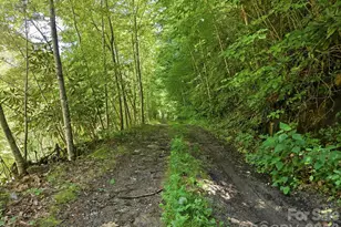 1158 Dark Ridge Rd, Sylva, NC 28779 - Photo 8