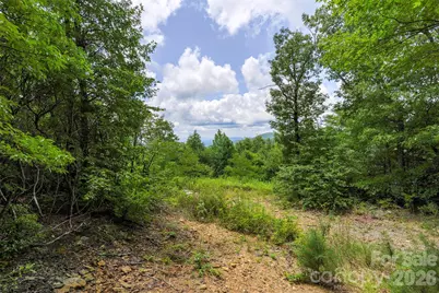 705 Pine Ridge Road #59, Hendersonville, NC 28792 - Photo 8