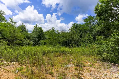 705 Pine Ridge Road #59, Hendersonville, NC 28792 - Photo 2