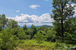705 Pine Ridge Rd, Hendersonville, NC 28792 - Photo 1