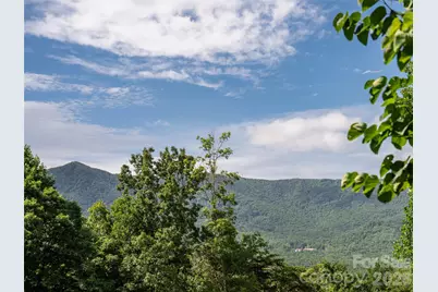125 Craggy Street, Black Mountain, NC 28711 - Photo 8