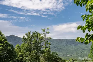125 Craggy St, Black Mountain, NC 28711 - Photo 8