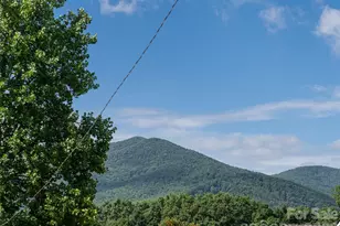 125 Craggy St, Black Mountain, NC 28711 - Photo 44
