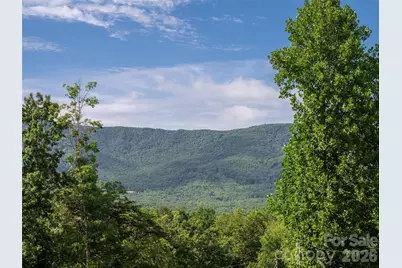 125 Craggy Street, Black Mountain, NC 28711 - Photo 16