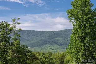 125 Craggy St, Black Mountain, NC 28711 - Photo 16