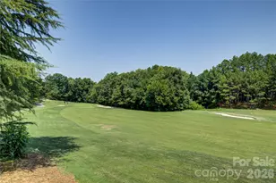 16815 Crosshaven Dr, Charlotte, NC 28278 - Photo 48