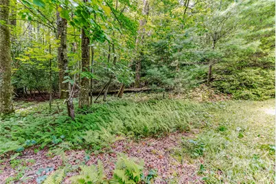 129 Nodatsi Court, Brevard, NC 28712 - Photo 40