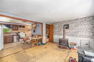 245 Bert Lane Rd, Brevard, NC 28712 - Photo 8