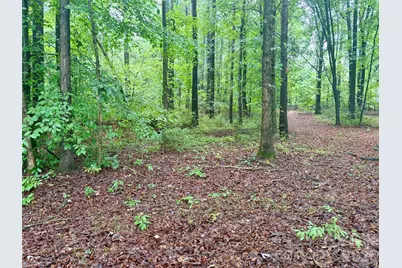 0 Sherrills Ford Road, Sherrills Ford, NC 28673 - Photo 4