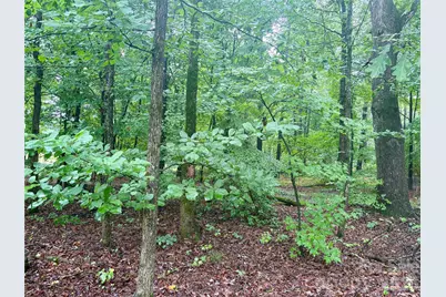 0 Sherrills Ford Road, Sherrills Ford, NC 28673 - Photo 2