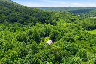 316-318 Cane Creek Mountain Rd, Union Mills, NC 28167 - Photo 48