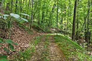 316-318 Cane Creek Mountain Rd, Union Mills, NC 28167 - Photo 40