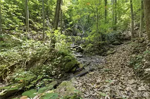 316-318 Cane Creek Mountain Rd, Union Mills, NC 28167 - Photo 42