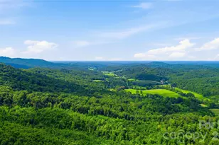316-318 Cane Creek Mountain Rd, Union Mills, NC 28167 - Photo 30