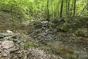 316-318 Cane Creek Mountain Rd, Union Mills, NC 28167 - Photo 38