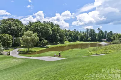 100 Titleist Way, Hendersonville, NC 28739 - Photo 44
