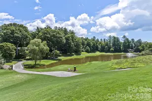 100 Titleist Way, Hendersonville, NC 28739 - Photo 44