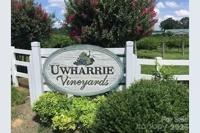 911 Hill Street, Albemarle, NC 28001 - Photo 26