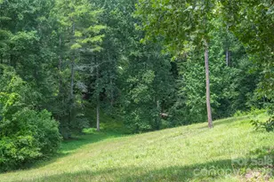 90 Pine Forest Dr, Weaverville, NC 28787 - Photo 44