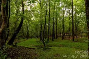 2800 Waxhaw Indian Trail Rd S, Waxhaw, NC 28173 - Photo 18