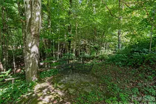 51 Atari Rd, Waynesville, NC 28786 - Photo 30