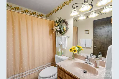 12 Chippewa Trail, Black Mountain, NC 28711 - Photo 28