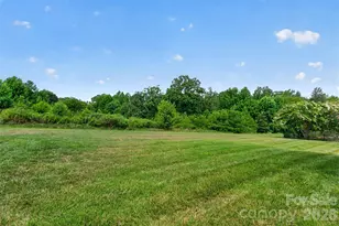 127 Johnson Manor St, Mooresville, NC 28115 - Photo 40