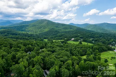 228 Allen Mountain Drive, Black Mountain, NC 28711 - Photo 46