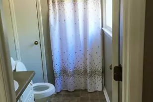 175 Scruggs Rd, Forest City, NC 28043 - Photo 24