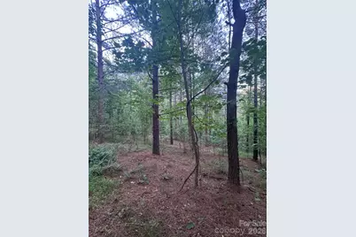 0 Clearwater Parkway #203, Rutherfordton, NC 28139 - Photo 18