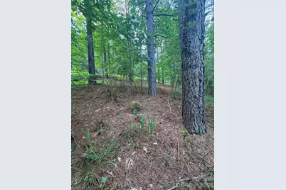 0 Clearwater Parkway #203, Rutherfordton, NC 28139 - Photo 4