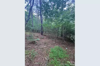 0 Clearwater Parkway #203, Rutherfordton, NC 28139 - Photo 16