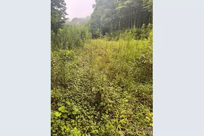 Tbd Sugar Mountain 2 Road #B, Newland, NC 28657 - Photo 4