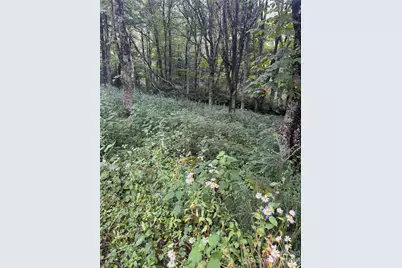 Tbd Sugar Mountain 2 Road #B, Newland, NC 28657 - Photo 2