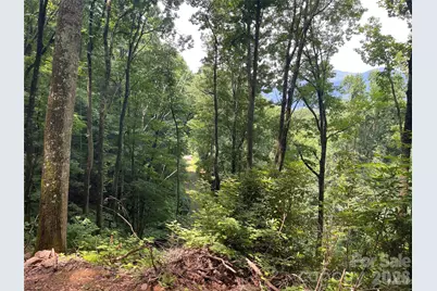 242 Floyd Road, Waynesville, NC 28786 - Photo 12