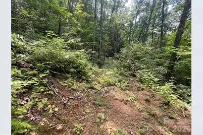 242 Floyd Road, Waynesville, NC 28786 - Photo 2