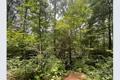 242 Floyd Road, Waynesville, NC 28786 - Photo 4