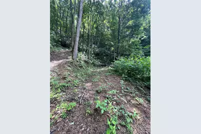 242 Floyd Road, Waynesville, NC 28786 - Photo 10