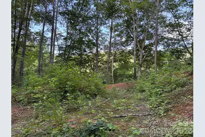 Lot 41 Peace Wood Lane #41, Hendersonville, NC 28792 - Photo 2