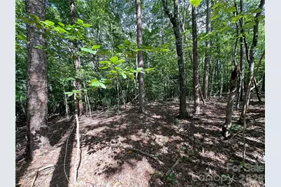 0 John Byrd Road, Morganton, NC 28655 - Photo 8