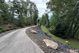 7795 Hwy 226A Hwy, Little Switzerland, NC 28749 - Photo 6