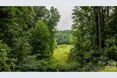 1755 F M McLean Place, Lenoir, NC 28645 - Photo 42